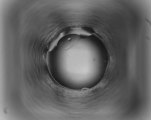 X0000102460048200808081237