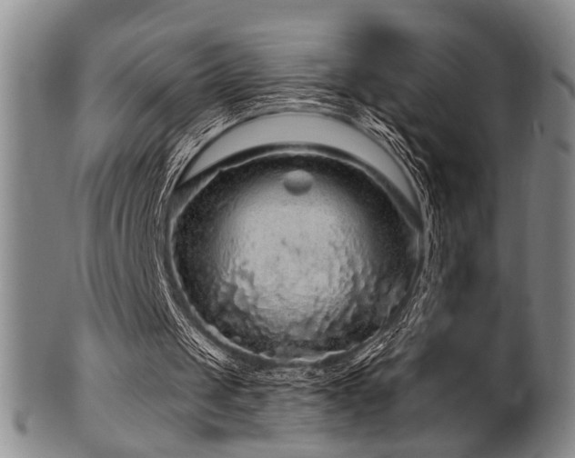 X0000102460049200808081236