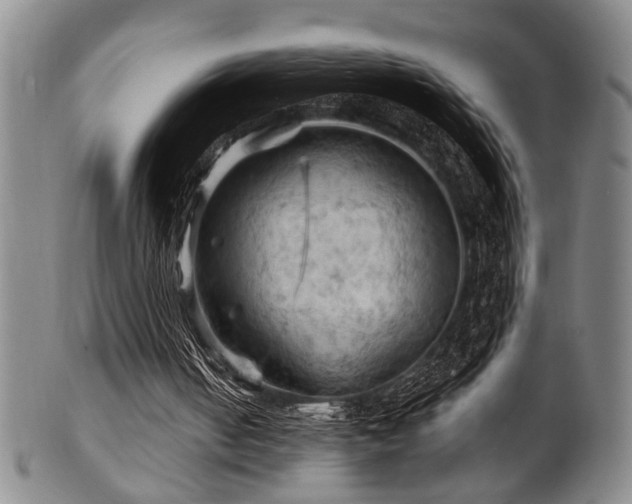 X0000102460050200808081236