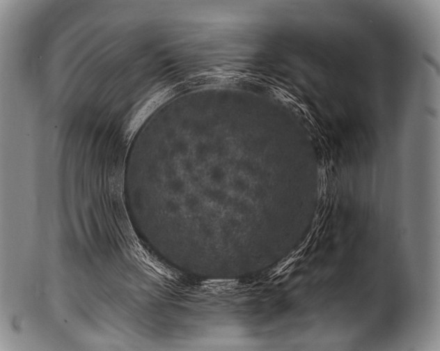 X0000102460051200808081236