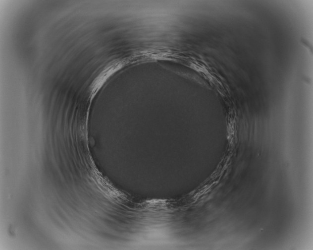 X0000102460052200808081236