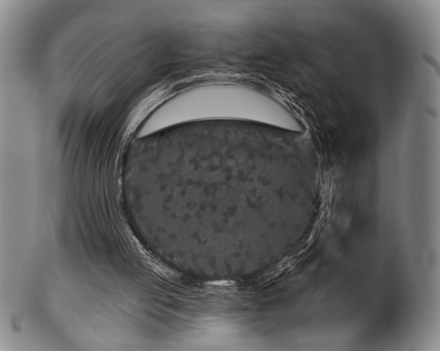 X0000102460053200808081236