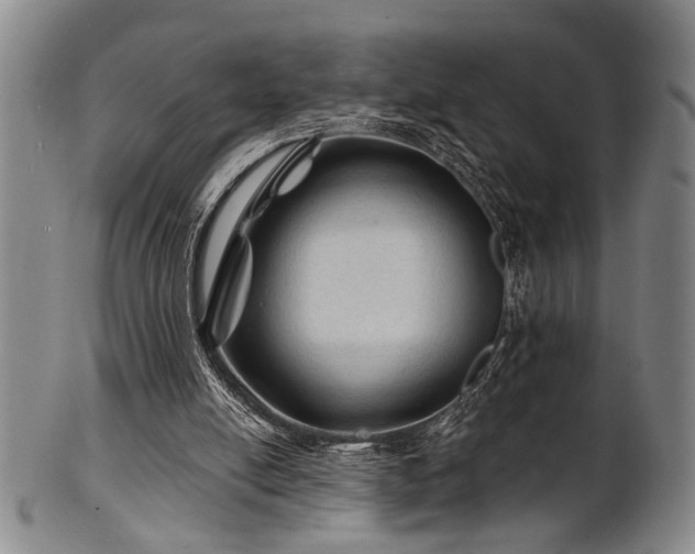 X0000102460054200808081236