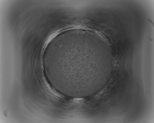 X0000102460055200808081236