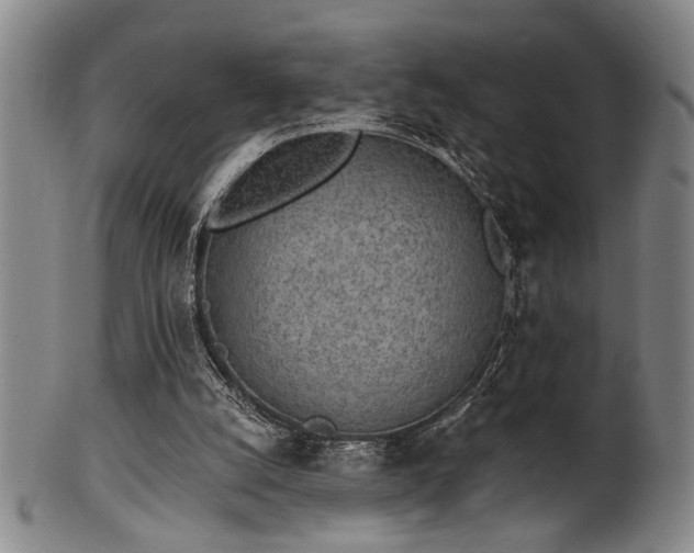 X0000102460056200808081236