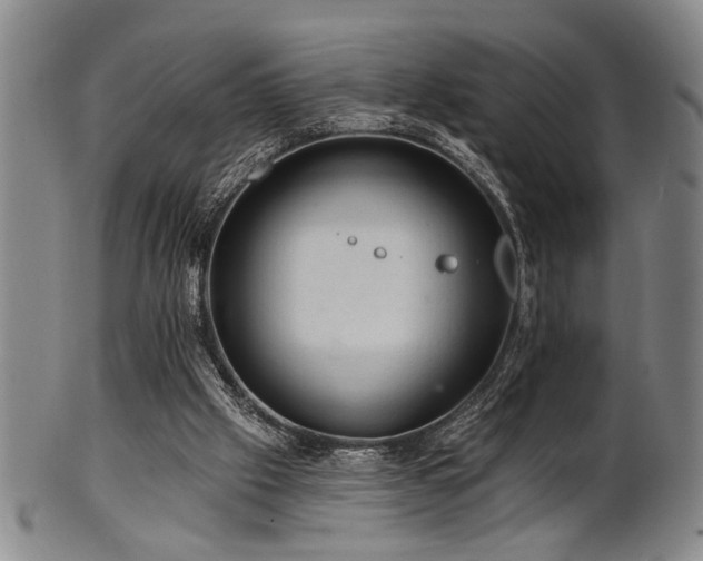 X0000102460057200808081236