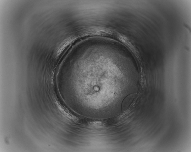 X0000102460058200808081236