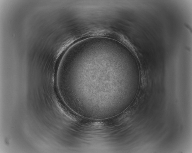 X0000102460059200808081236