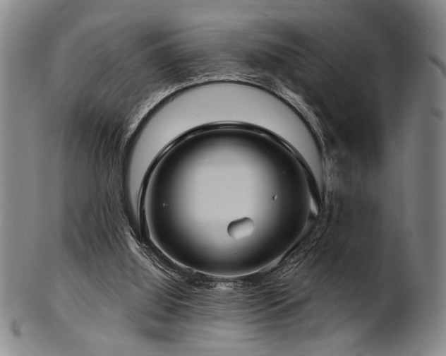 X0000102460060200808081236