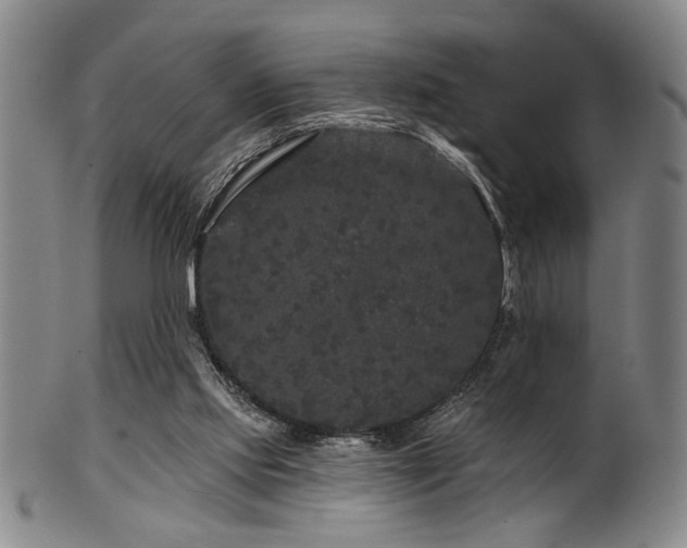 X0000102460061200808081236