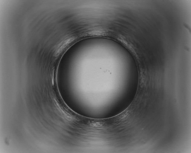 X0000102460062200808081236