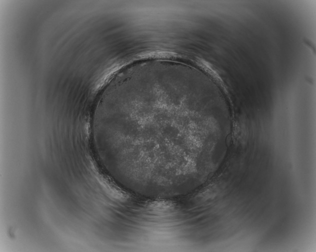 X0000102460063200808081236