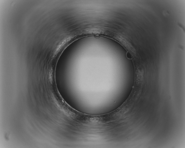 X0000102460064200808081236