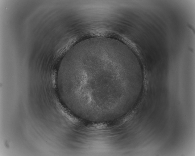 X0000102460065200808081236