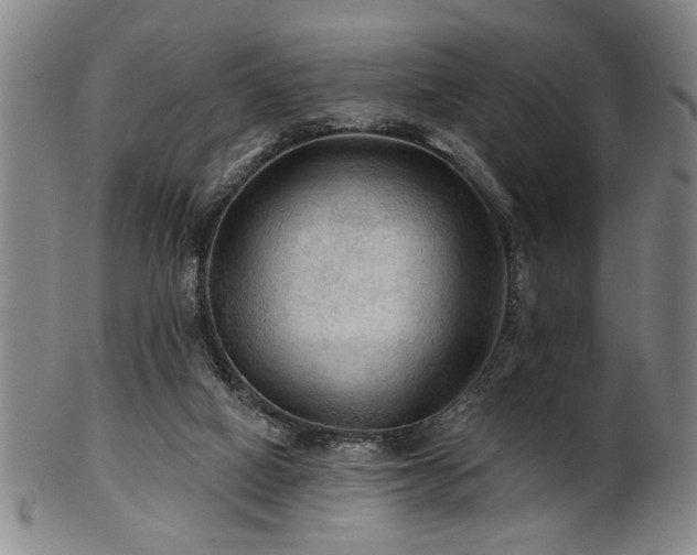 X0000102460066200808081236