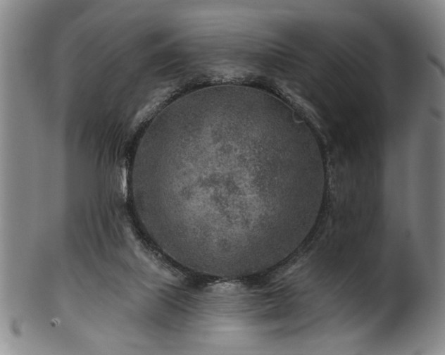 X0000102460067200808081236