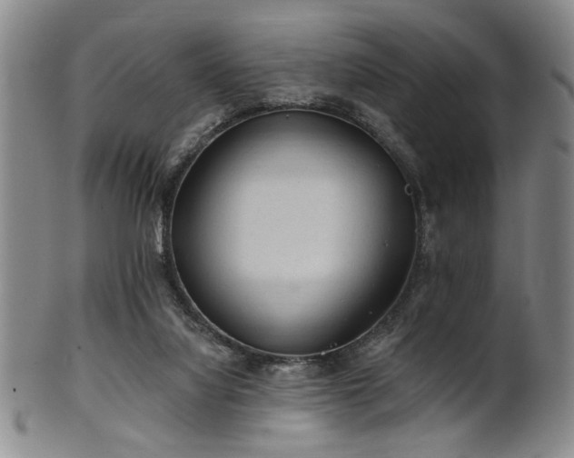 X0000102460068200808081236