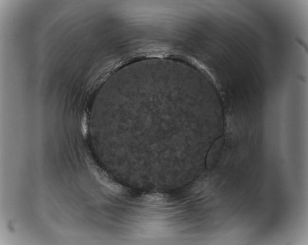 X0000102460069200808081236