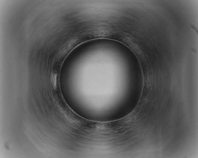 X0000102460070200808081236