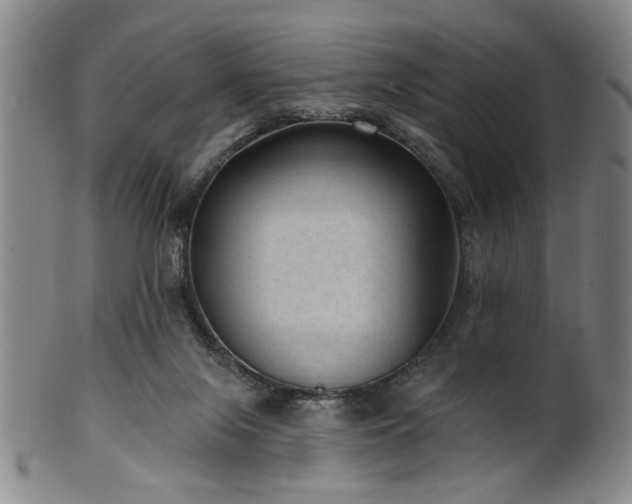 X0000102460071200808081236