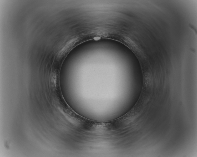 X0000102460072200808081236