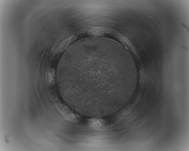 X0000102460073200808081236