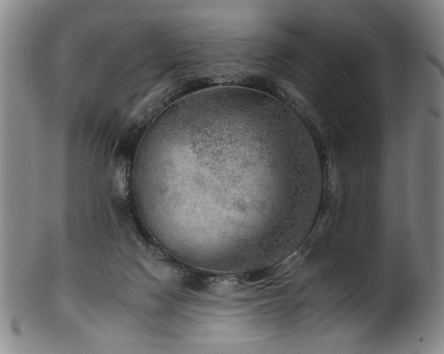 X0000102460074200808081236