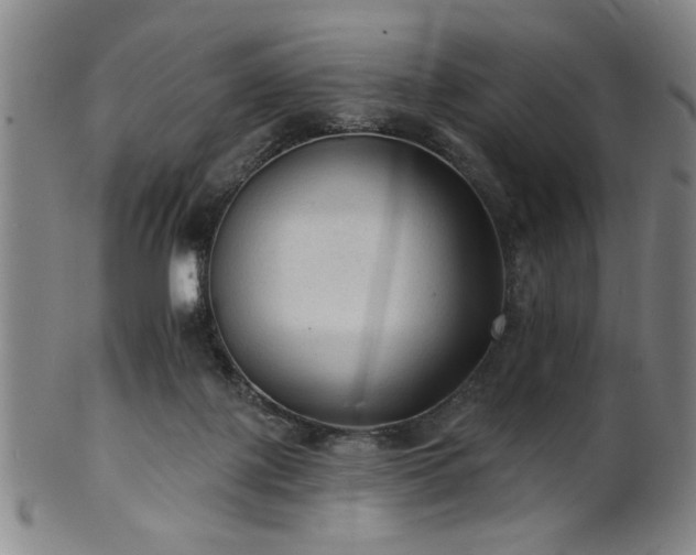 X0000102460075200808081236