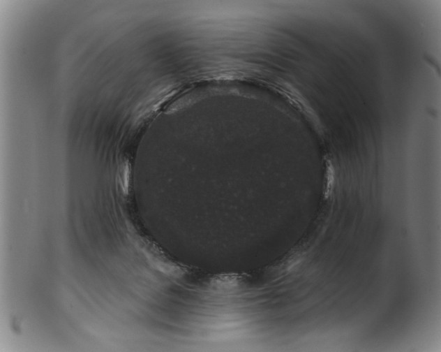 X0000102460076200808081236