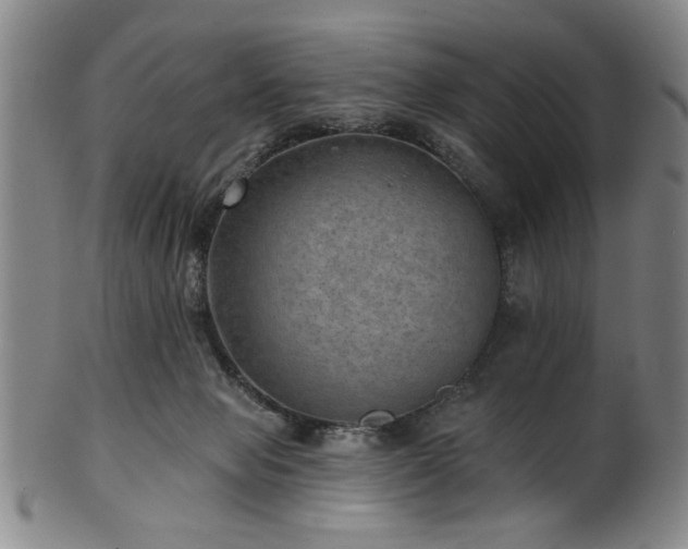 X0000102460077200808081236