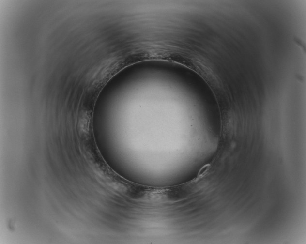 X0000102460078200808081236