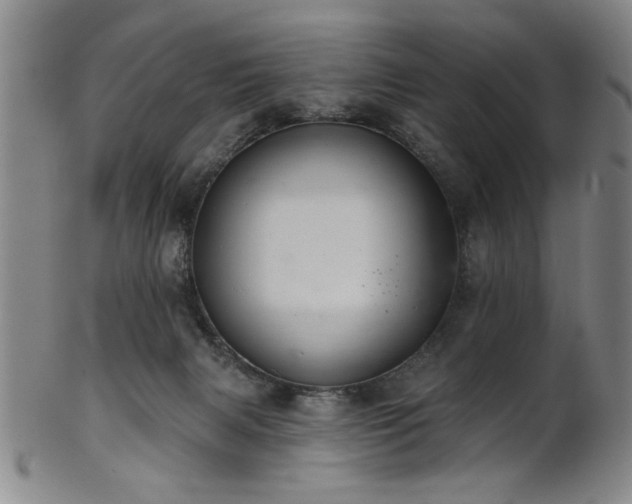 X0000102460079200808081236