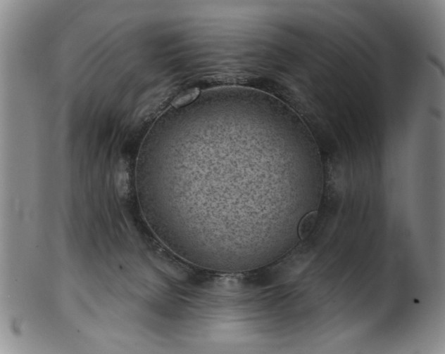 X0000102460080200808081236