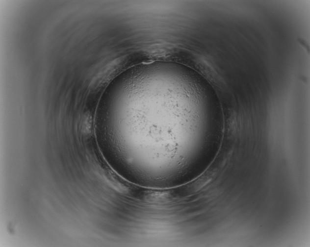 X0000102460081200808081237