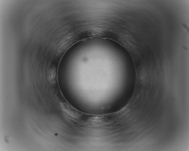 X0000102460082200808081237