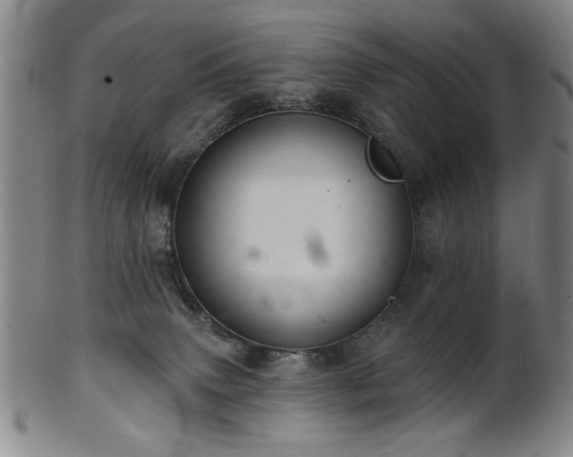 X0000102460083200808081237