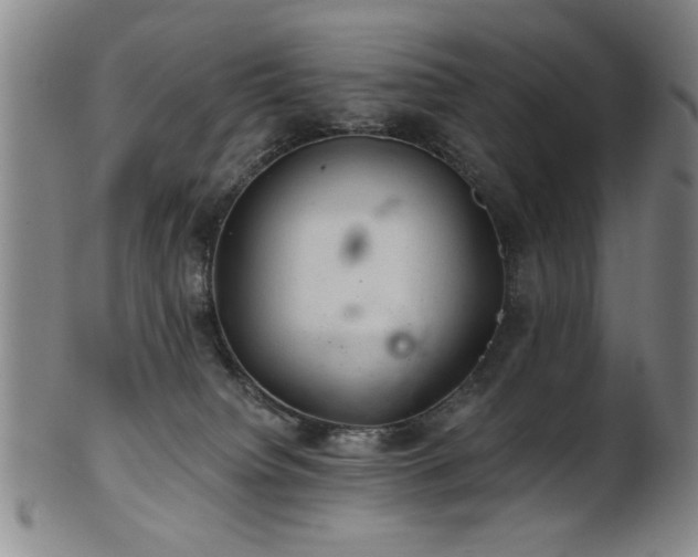 X0000102460084200808081237