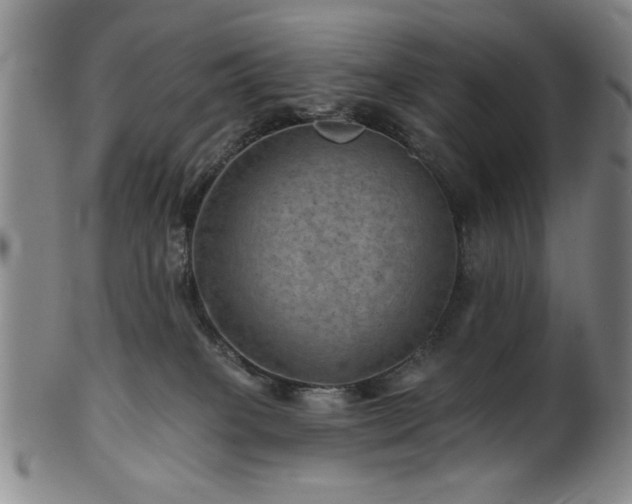 X0000102460085200808081237