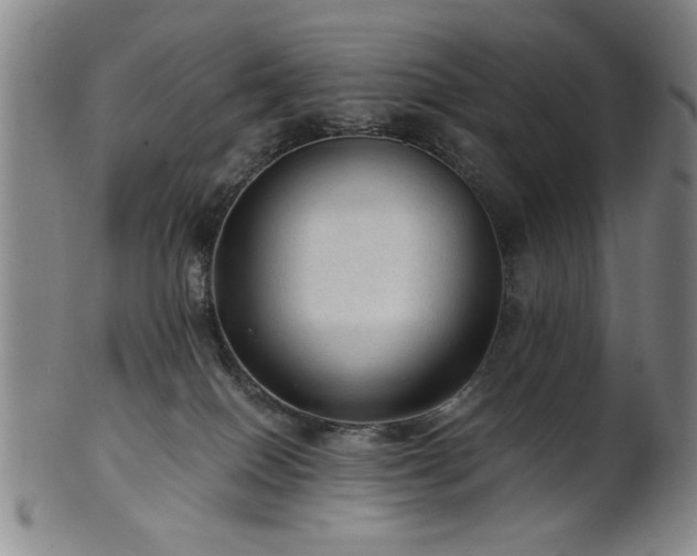 X0000102460086200808081237