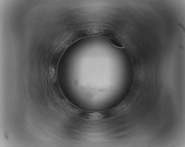 X0000102460087200808081237