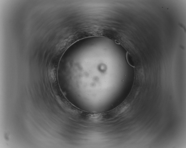 X0000102460088200808081237