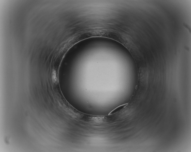 X0000102460089200808081237