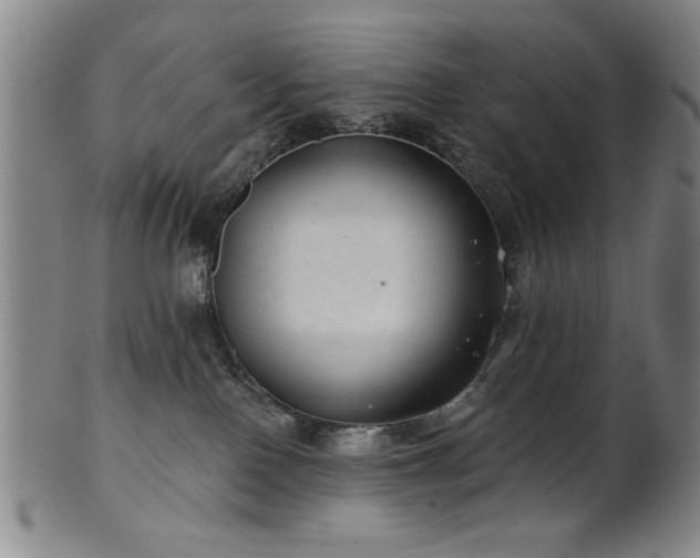 X0000102460090200808081237