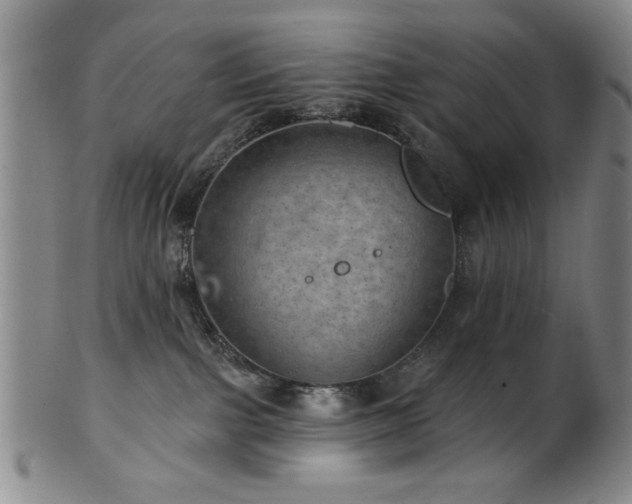 X0000102460091200808081237