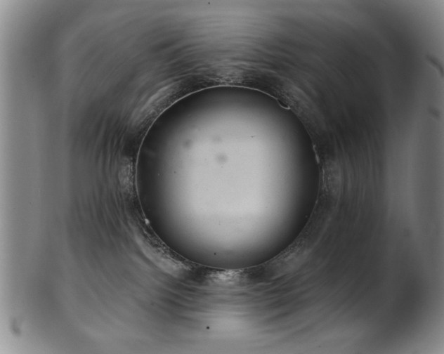 X0000102460092200808081237