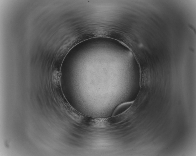 X0000102460093200808081237