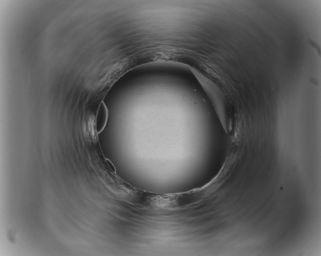 X0000102460094200808081237