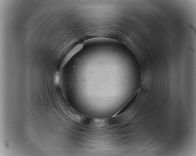 X0000102460095200808081237