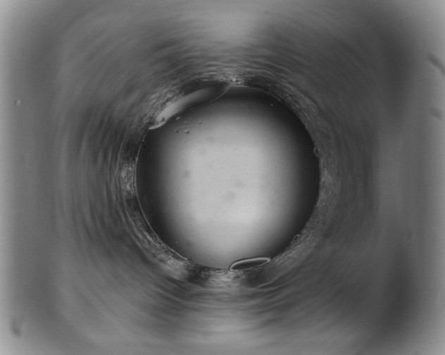 X0000102460096200808081237