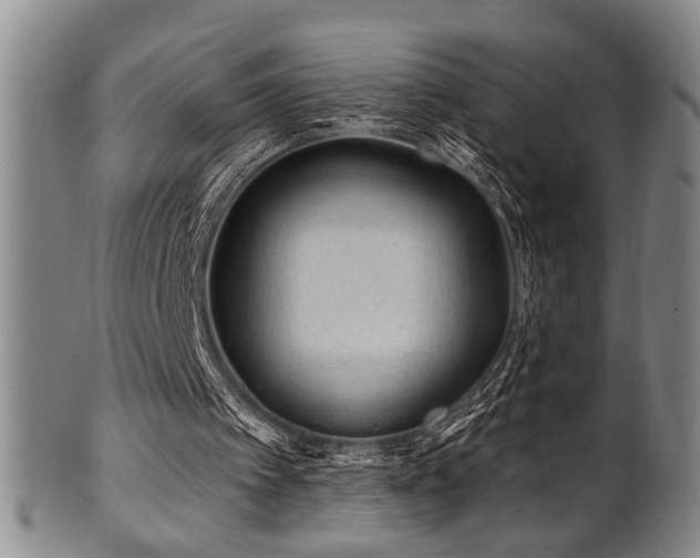 X0000102460097200808081236